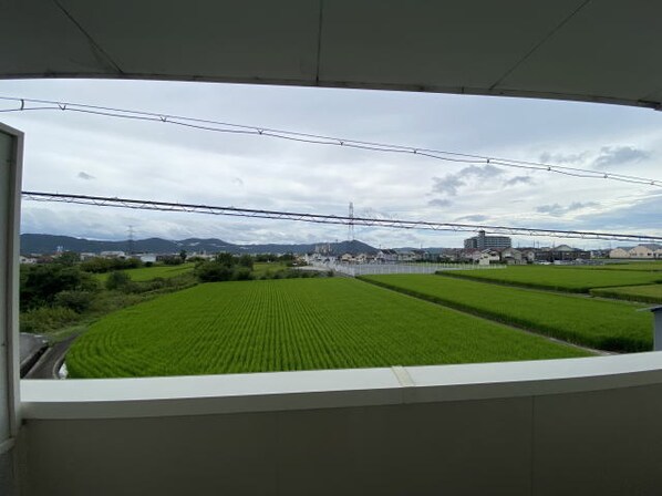 紀伊駅 バス8分  山村下車：停歩7分 2階の物件内観写真